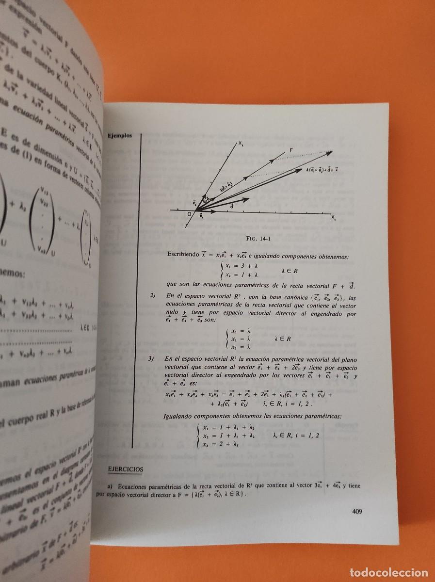 Libros de segunda mano de ciencias: &Aacute;LGEBRA LINEAL Y GEOMETR&Iacute;A / Curso Te&oacute;rico - Pr&aacute;ctico - Foto 5