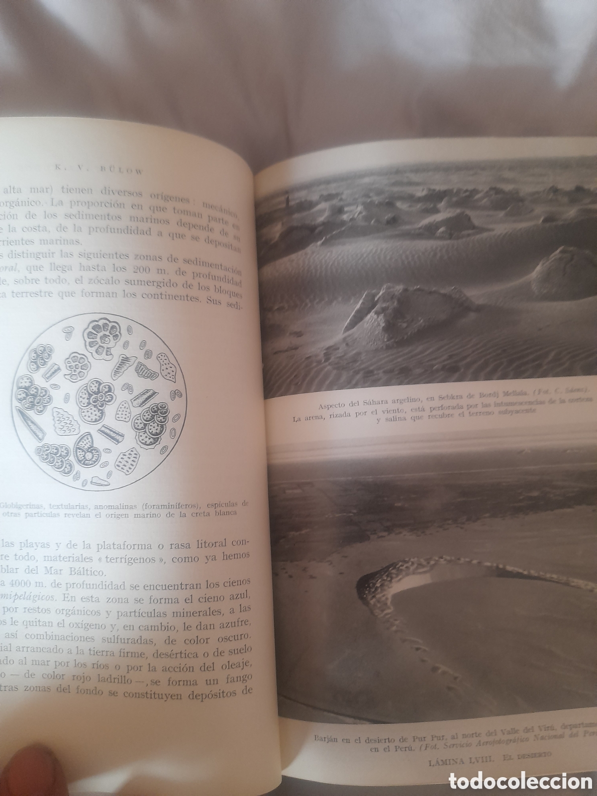 Libros de segunda mano: Libro, Geolog&iacute;a para Todos, Editorial Labor - Foto 6