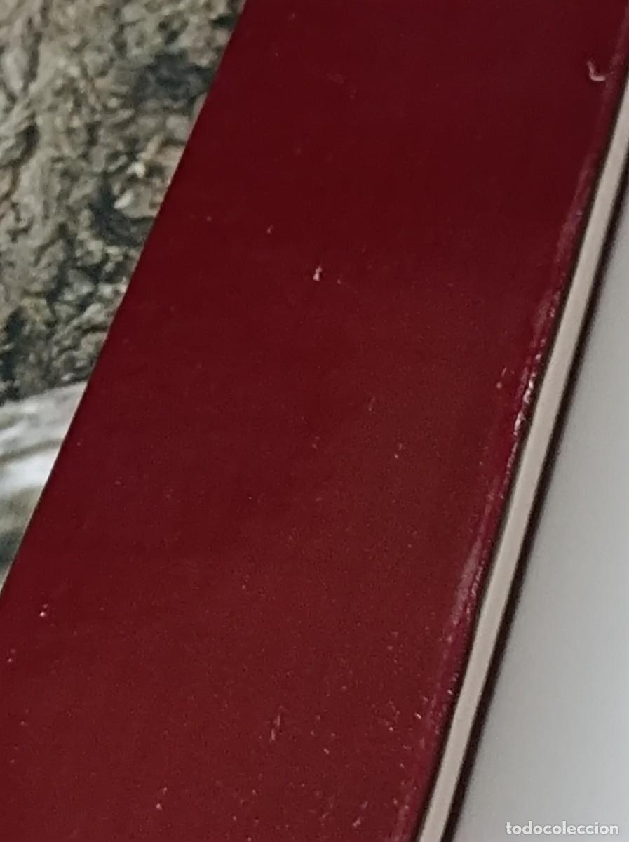 Libros de segunda mano: AVES DE REQUENA - JAVIER ARMERO IRANZO - Foto 4