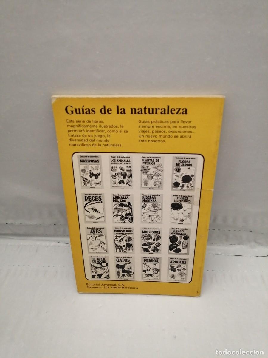Libros de segunda mano: Gu&iacute;as de la naturaleza: Peces (Primera edici&oacute;n) - Foto 2