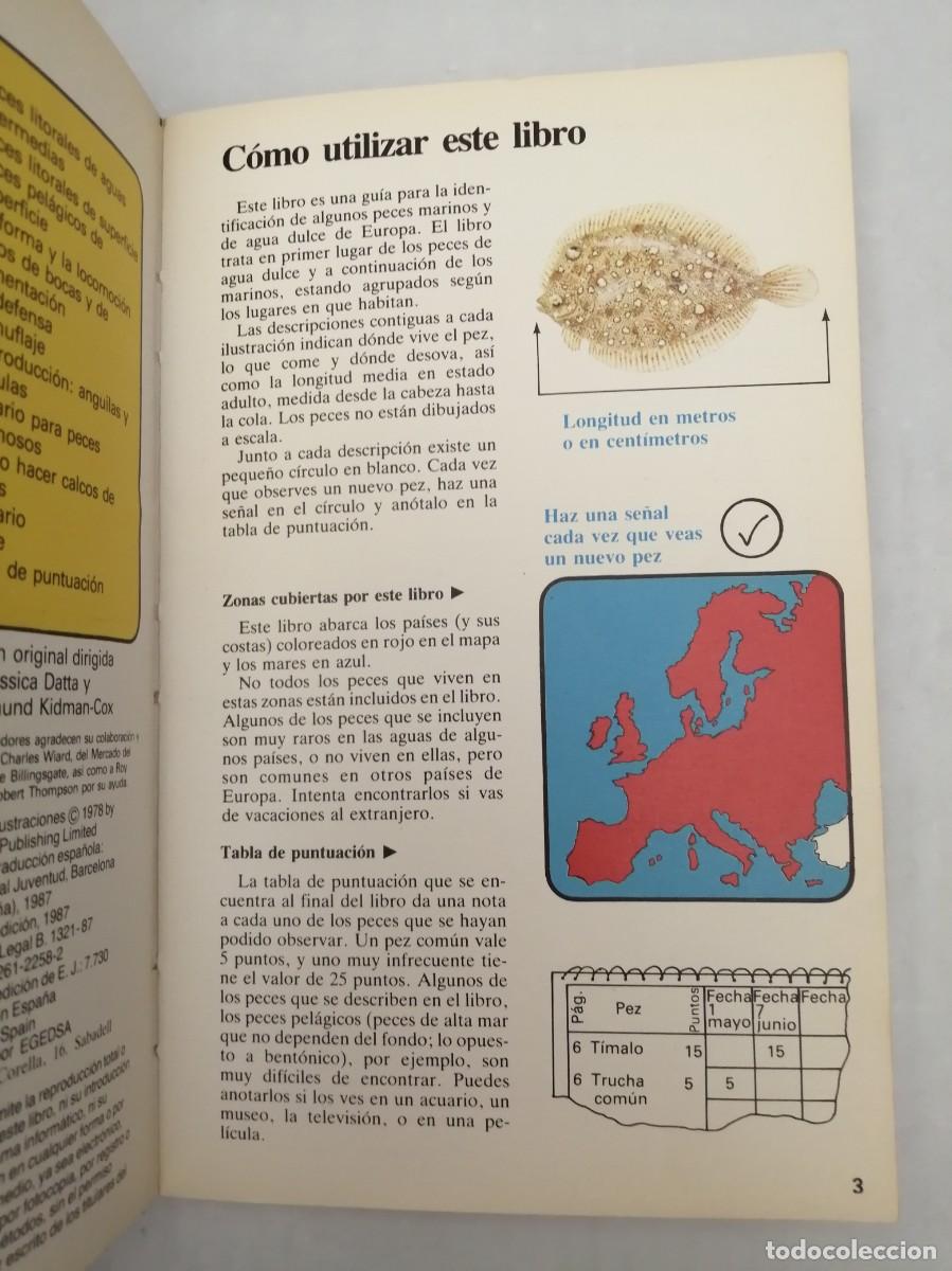 Libros de segunda mano: Gu&iacute;as de la naturaleza: Peces (Primera edici&oacute;n) - Foto 5