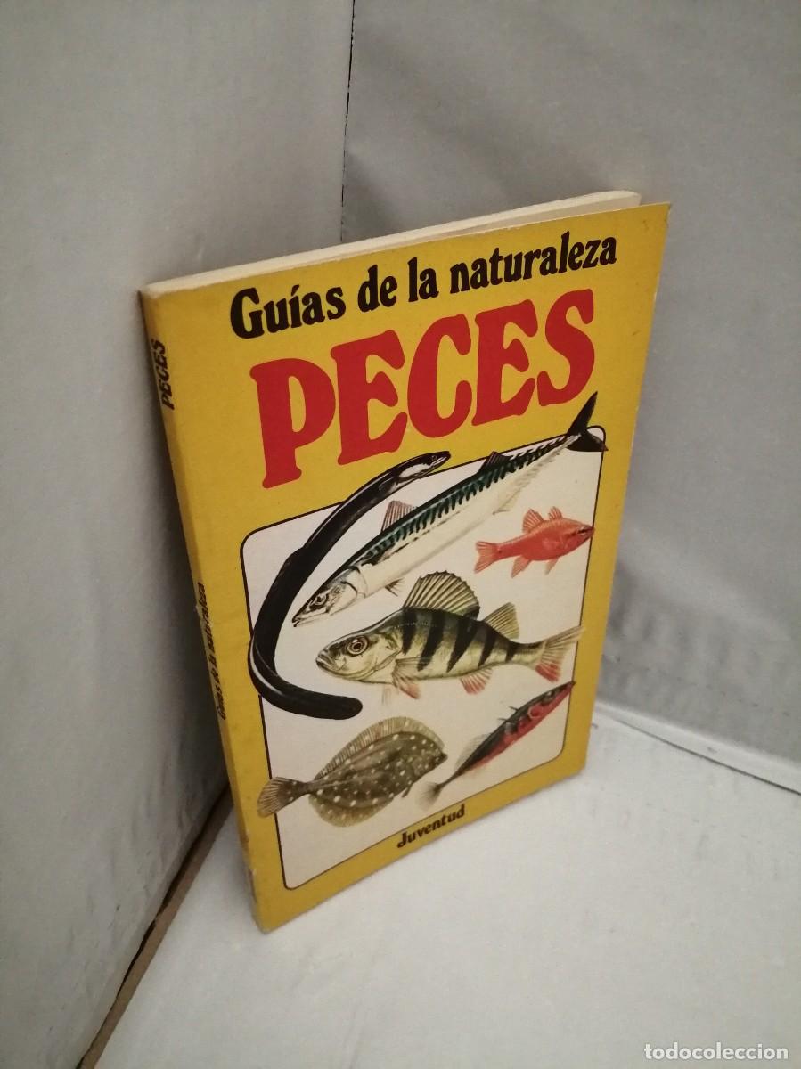 Libros de segunda mano: Gu&iacute;as de la naturaleza: Peces (Primera edici&oacute;n) - Foto 6