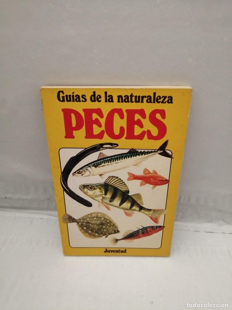 Libros de segunda mano: Gu&iacute;as de la naturaleza: Peces (Primera edici&oacute;n) - Foto 1