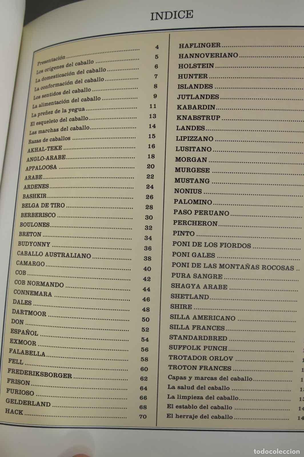 Libros de segunda mano: Caballos. Miguel Gim&eacute;nez Sales - Foto 2