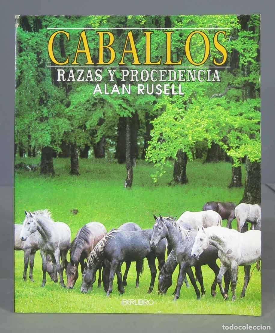 Libros de segunda mano: Caballos. Miguel Gim&eacute;nez Sales - Foto 1