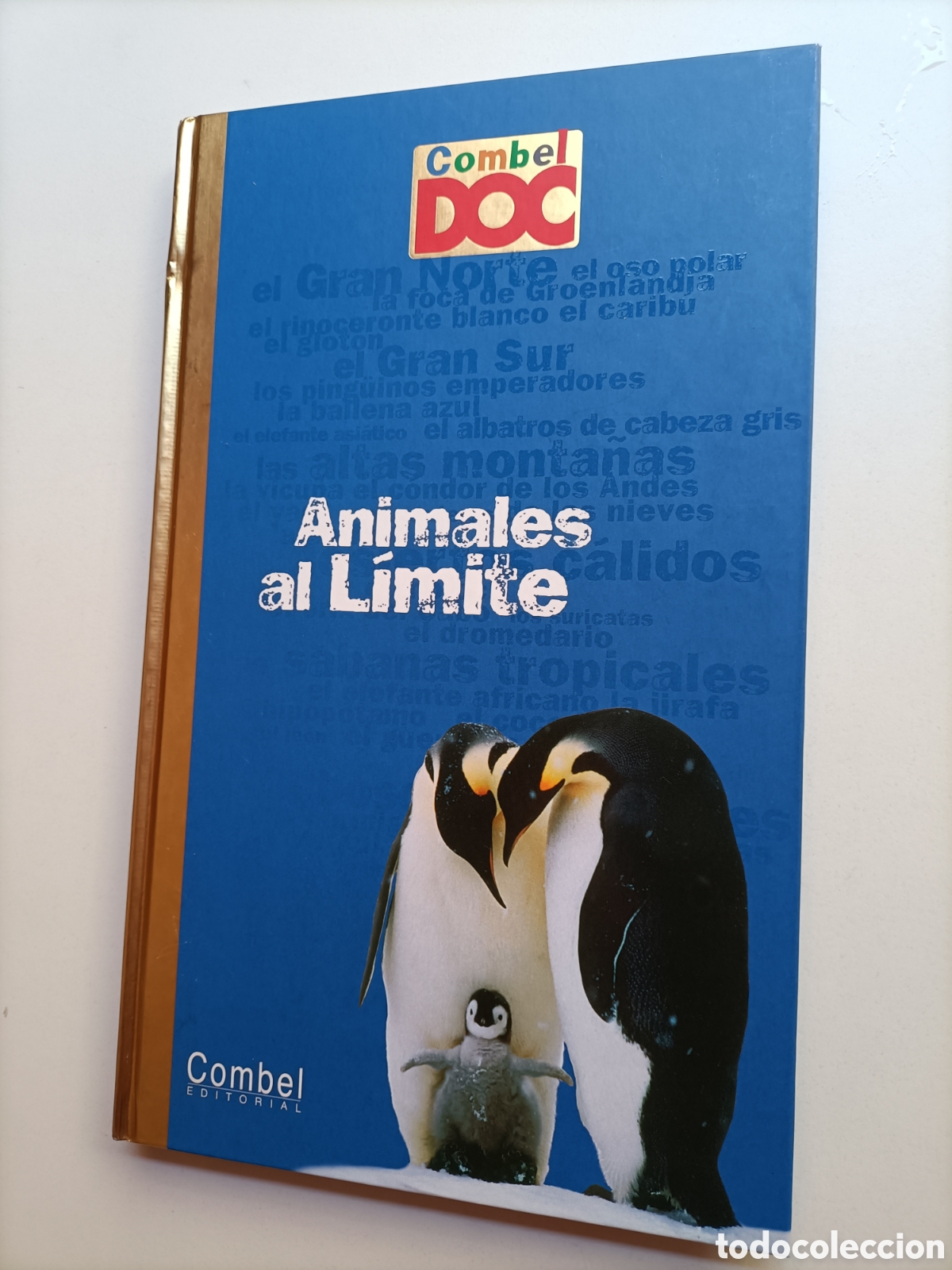 Libros de segunda mano: Animales al l&iacute;mite Nathalie Tordjiman - Foto 2