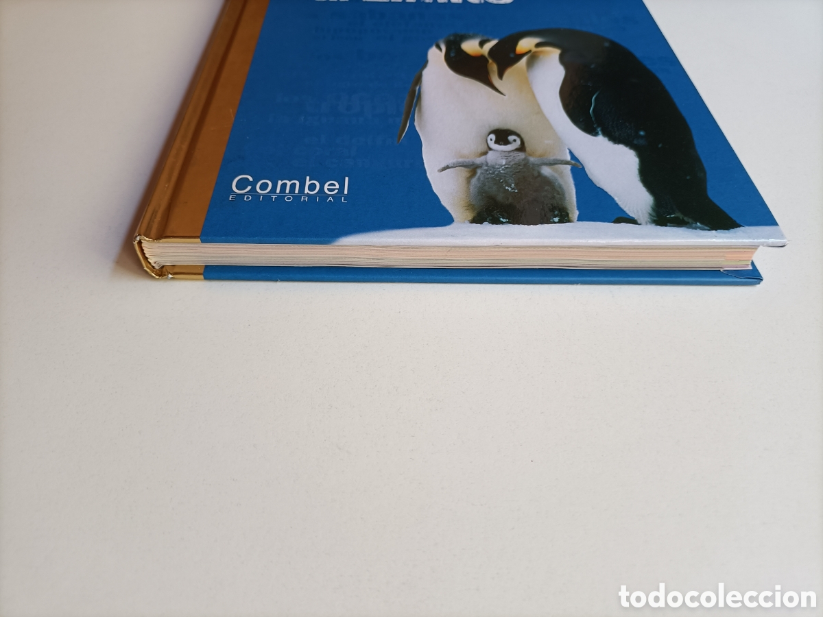 Libros de segunda mano: Animales al l&iacute;mite Nathalie Tordjiman - Foto 4