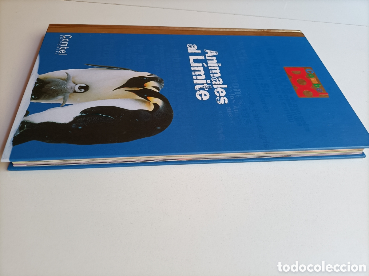 Libros de segunda mano: Animales al l&iacute;mite Nathalie Tordjiman - Foto 5