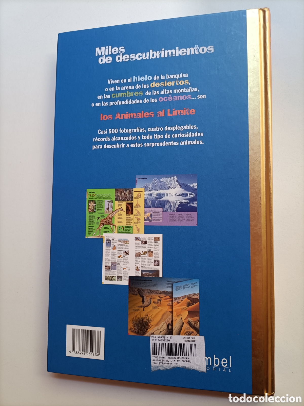Libros de segunda mano: Animales al l&iacute;mite Nathalie Tordjiman - Foto 6