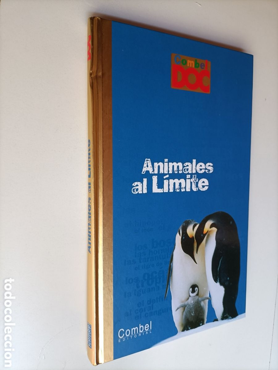 Libros de segunda mano: Animales al l&iacute;mite Nathalie Tordjiman - Foto 1