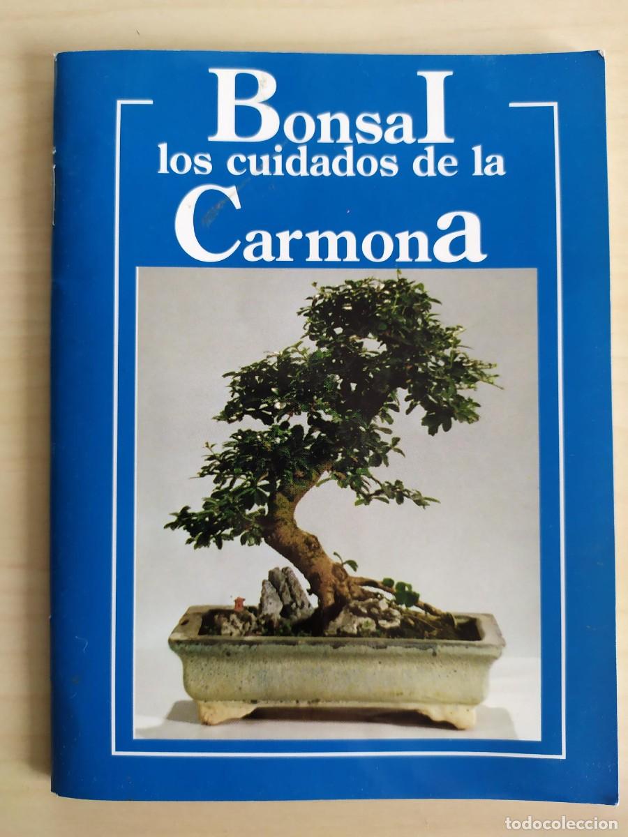 Libros de segunda mano: Bonsai. Los cuidados de la Carmona. Neagari Press. 1995. - Foto 1