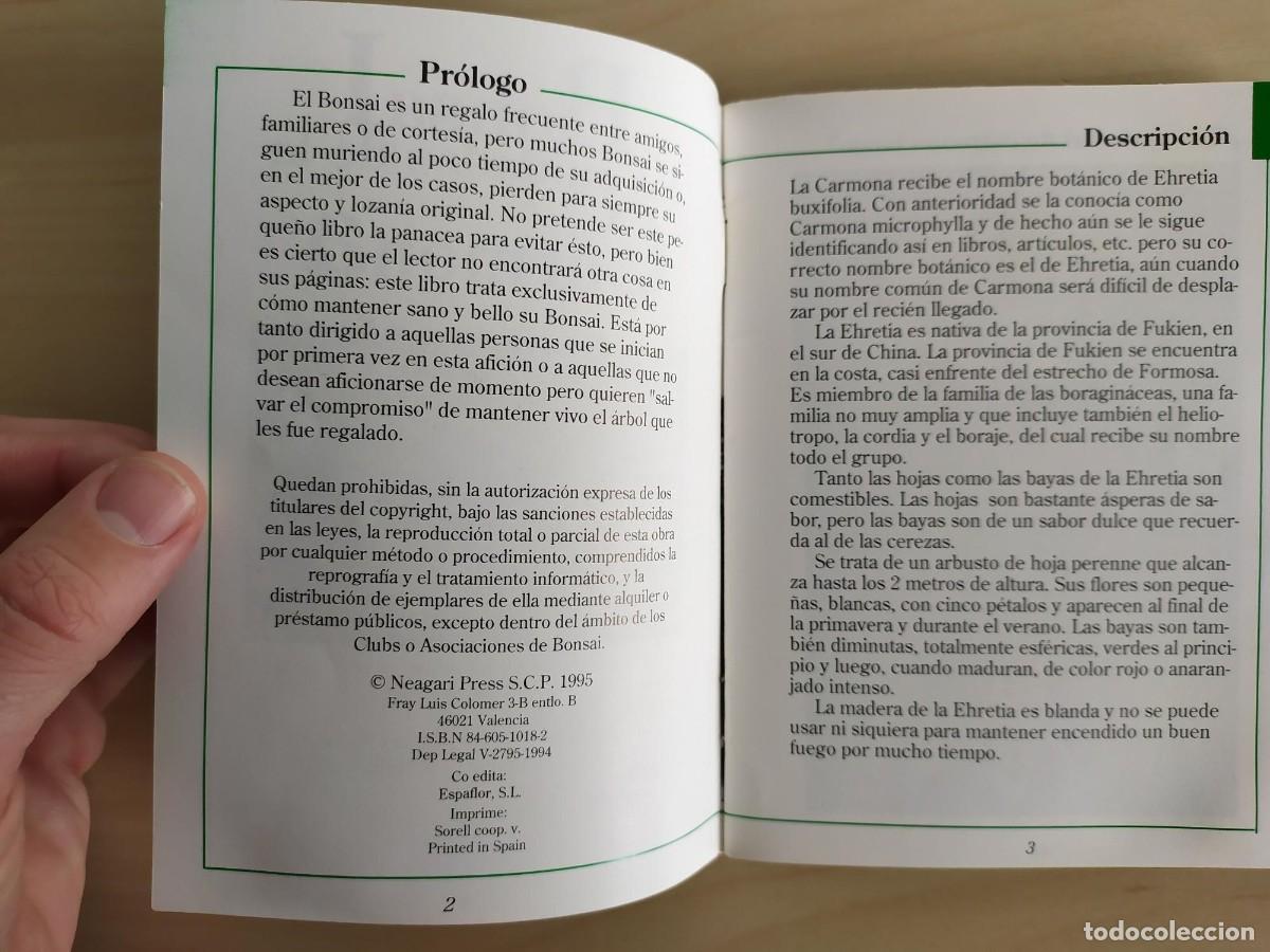 Libros de segunda mano: Bonsai. Los cuidados de la Carmona. Neagari Press. 1995. - Foto 2