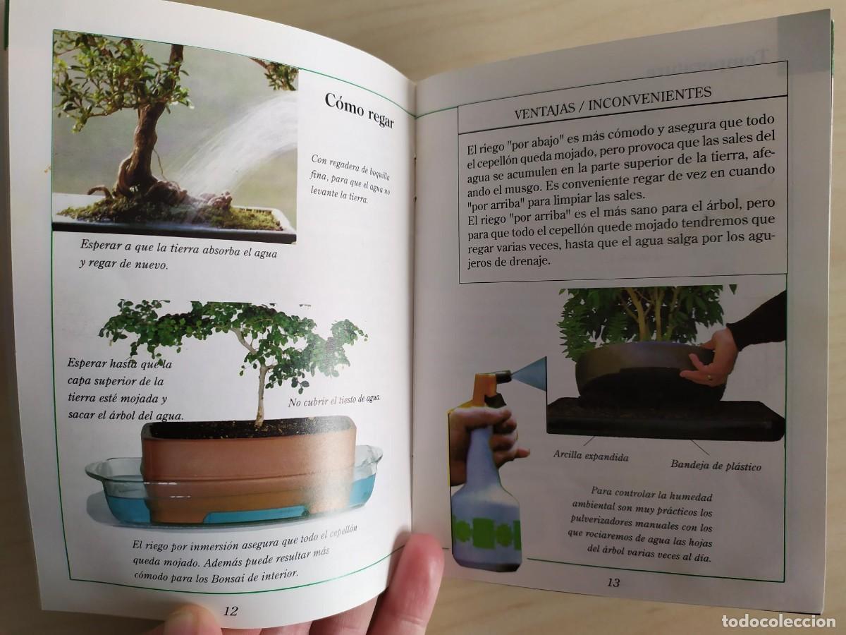 Libros de segunda mano: Bonsai. Los cuidados de la Carmona. Neagari Press. 1995. - Foto 3