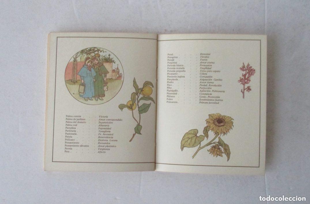 Libros de segunda mano: EL LENJUAGE DE LAS FLORES - KATE GREENAWAY - Foto 4