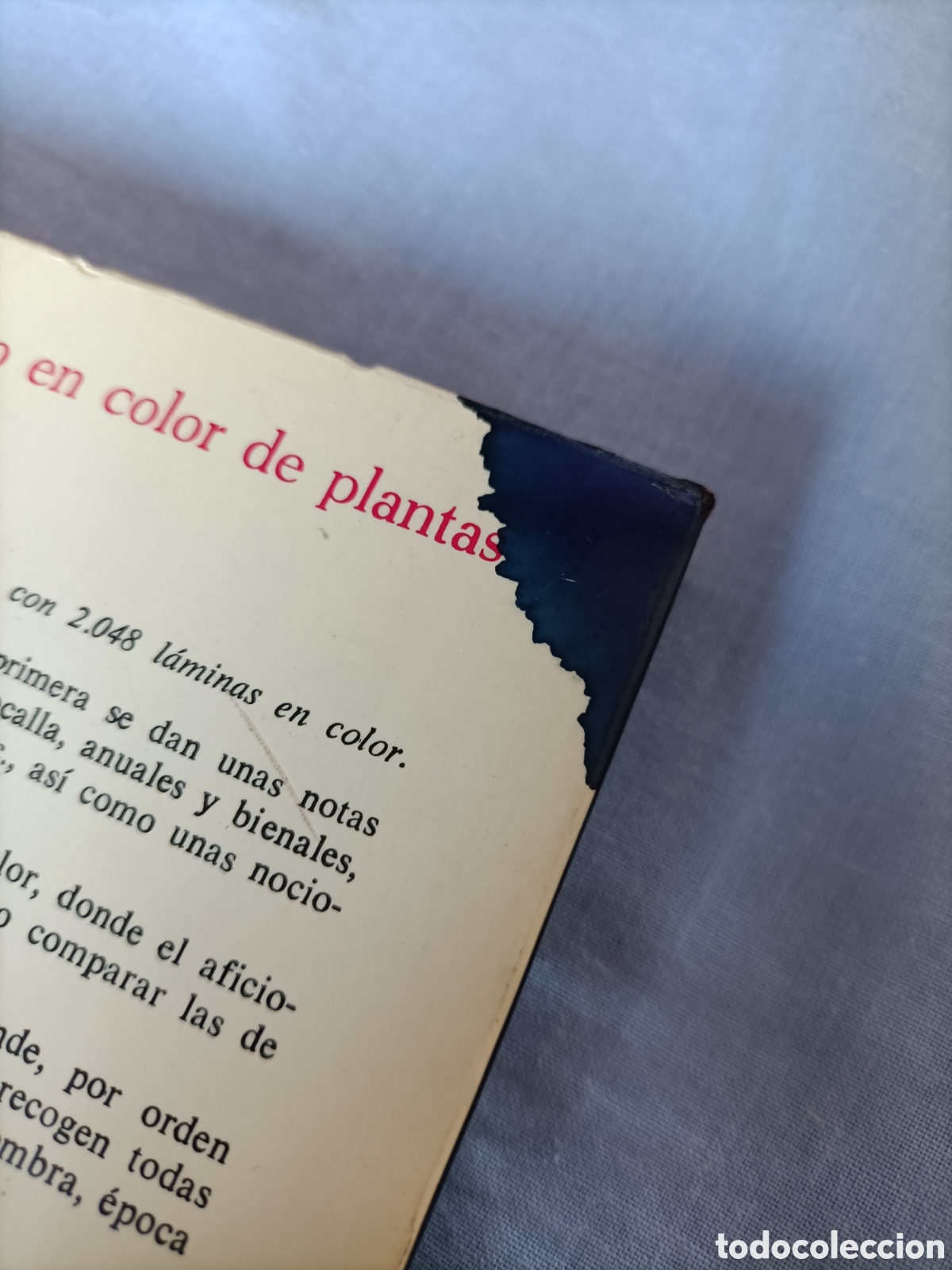 Libros de segunda mano: Plantas en balcones en los patios y en el interior. Noel Claraso - Foto 3