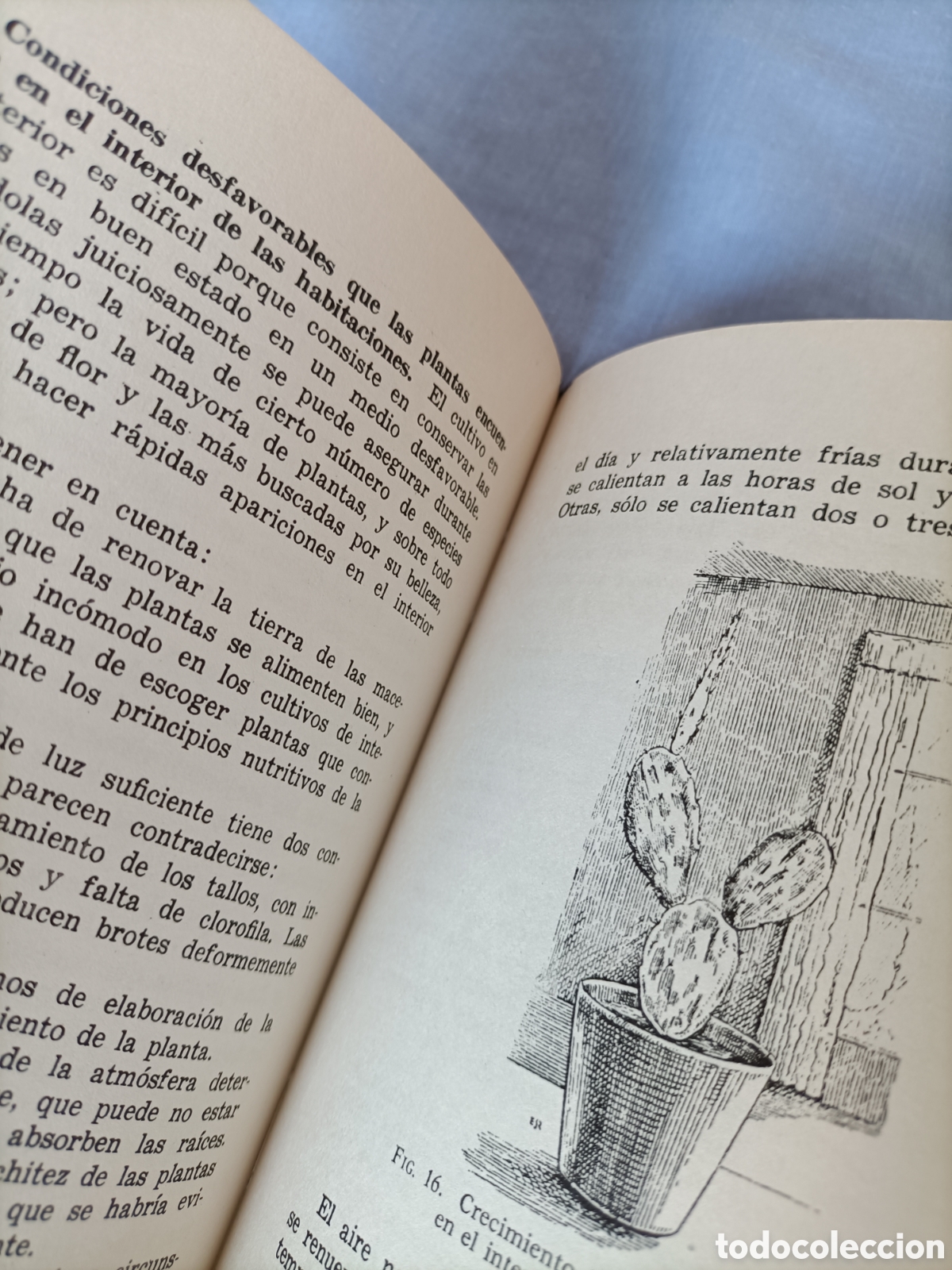 Libros de segunda mano: Plantas en balcones en los patios y en el interior. Noel Claraso - Foto 4