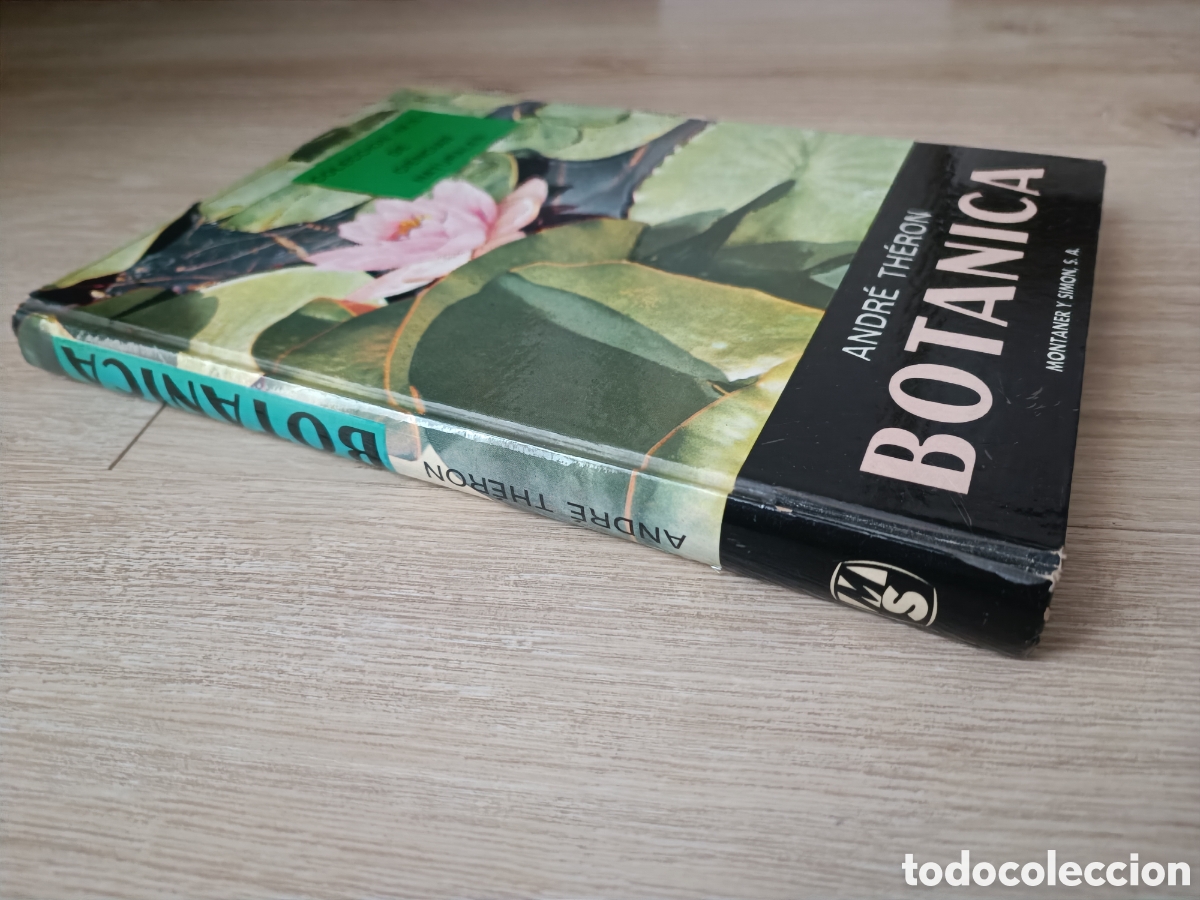 Libros de segunda mano: BOT&Aacute;NICA - ANDR&Eacute; TH&Eacute;RON - Foto 2