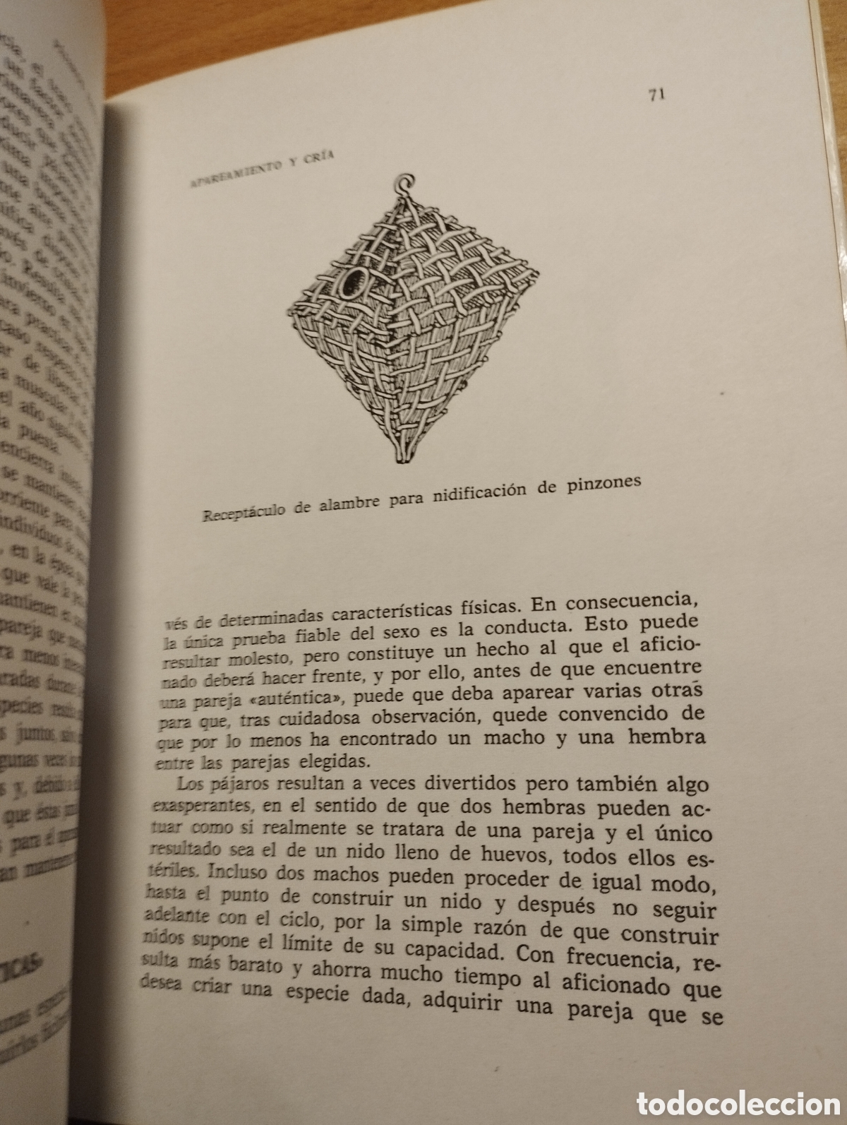 Libros de segunda mano: P&Aacute;JAROS EX&Oacute;TICOS. VARIEDADES, CRIA Y CUIDADOS (P. M. SODERBERG) - Foto 12