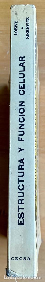 Libros de segunda mano de ciencias: Estructura y funci&oacute;n celular, de Loewy y Siekevitz - Foto 2