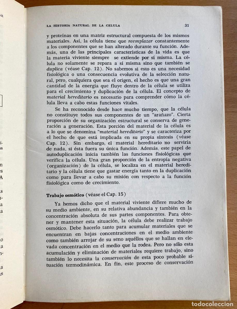 Libros de segunda mano de ciencias: Estructura y funci&oacute;n celular, de Loewy y Siekevitz - Foto 3
