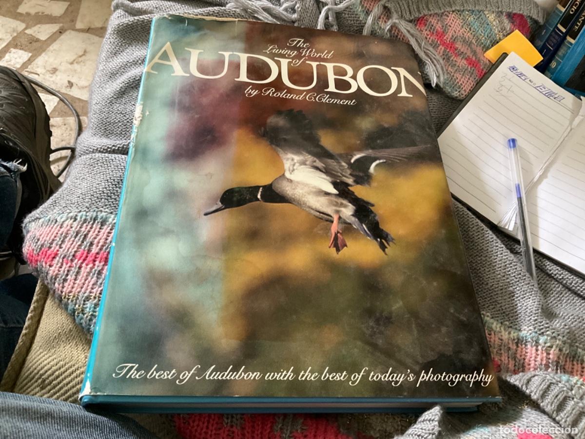 Second hand books: Living World of Audubon Clement, Roland C.ilustraciones y fotografias