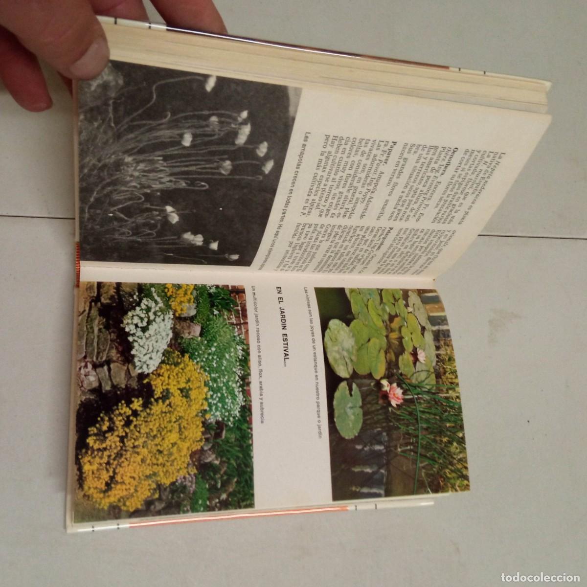 Libros de segunda mano: ABC de las plantas de jard&iacute;n y terraza - Magda R&oacute;denas - Foto 4