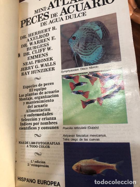 Libros de segunda mano: MINI ATLAS DE PECES DE ACUARIO DE AGUADULCE 1992 - Foto 3