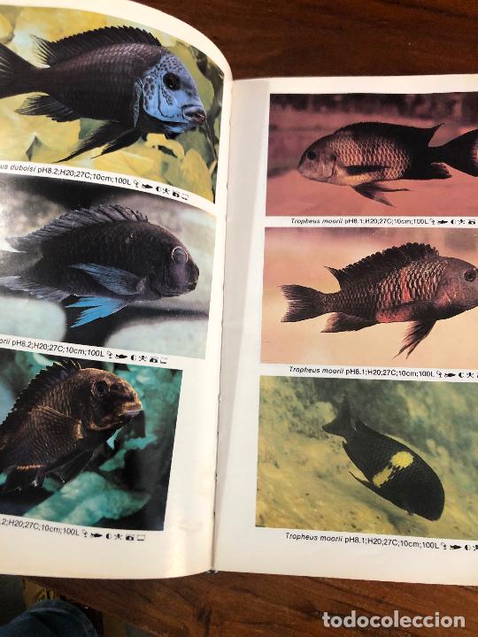 Libros de segunda mano: MINI ATLAS DE PECES DE ACUARIO DE AGUADULCE 1992 - Foto 5