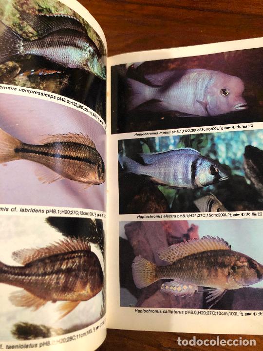 Libros de segunda mano: MINI ATLAS DE PECES DE ACUARIO DE AGUADULCE 1992 - Foto 7