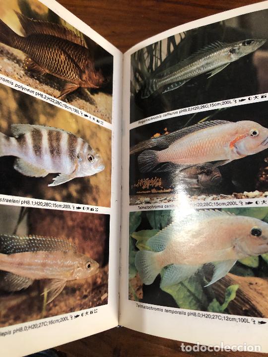 Libros de segunda mano: MINI ATLAS DE PECES DE ACUARIO DE AGUADULCE 1992 - Foto 8