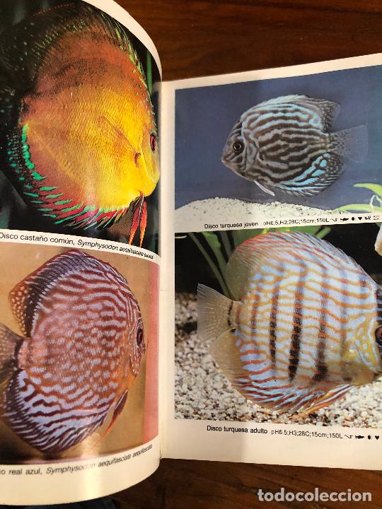 Libros de segunda mano: MINI ATLAS DE PECES DE ACUARIO DE AGUADULCE 1992 - Foto 9