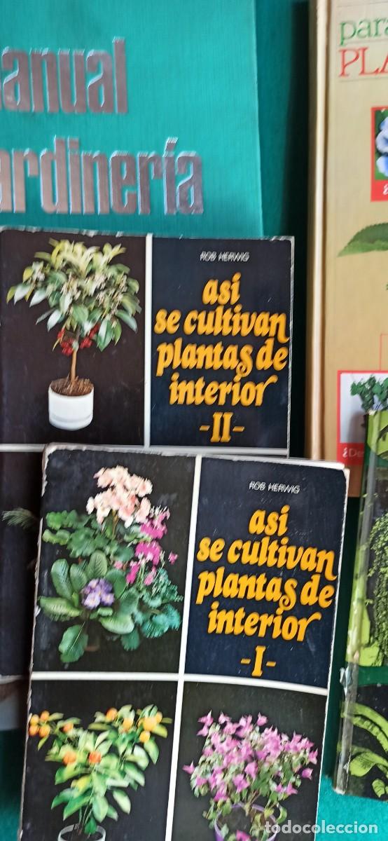 Second hand books: LOTE 6 Libros PLANTAS DE INTERIOR ENVIO CERTIFICADO GRATUITO