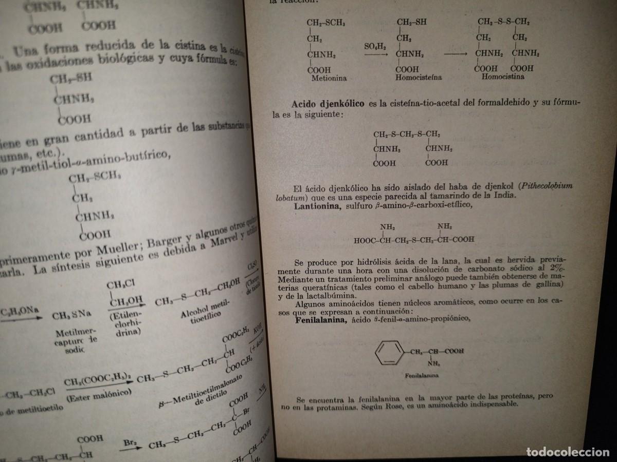 Libros de segunda mano de ciencias: 13- TRATADO DE BIOQU&Iacute;MICA - BENJAMIN HARROW - 1950 - Foto 8