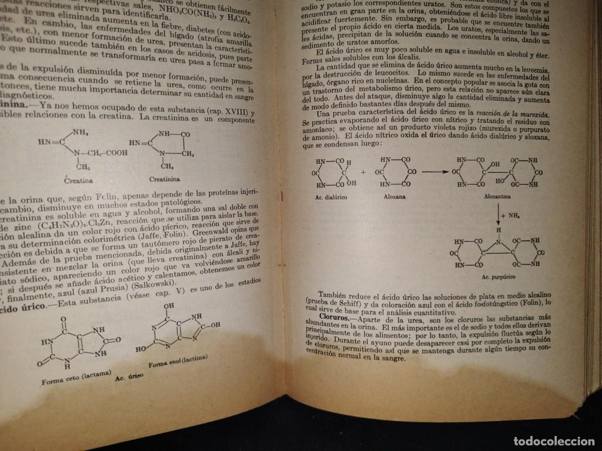 Libros de segunda mano de ciencias: 13- TRATADO DE BIOQU&Iacute;MICA - BENJAMIN HARROW - 1950 - Foto 9