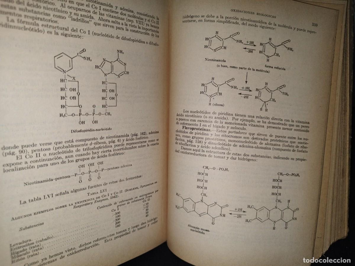 Libros de segunda mano de ciencias: 13- TRATADO DE BIOQU&Iacute;MICA - BENJAMIN HARROW - 1950 - Foto 10
