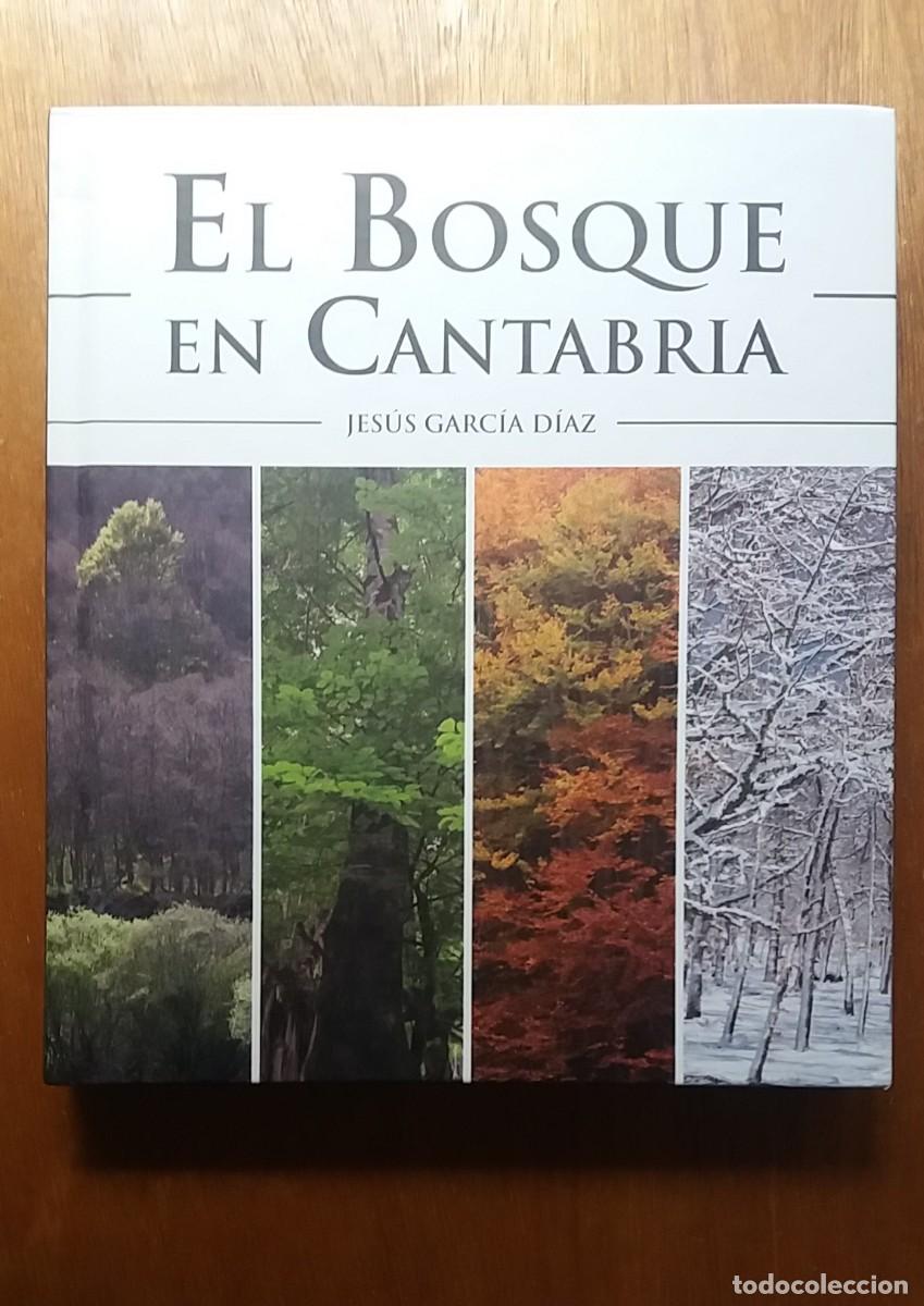Libros de segunda mano: EL BOSQUE EN CANTABRIA, JESUS GARCIA DIAZ, EDICIONES DE LIBRERIA ESTUDIO, 2016