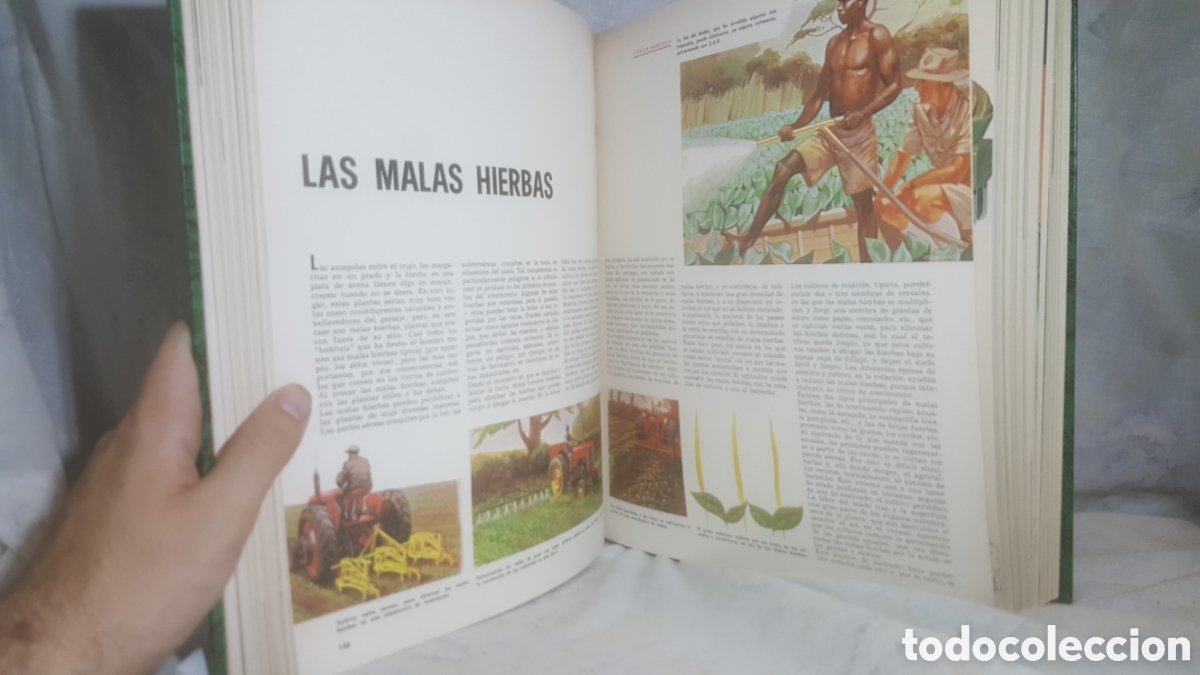 Libros de segunda mano de ciencias: TECNIRAMA. TOMO 3. N&Uacute;MEROS 53-78 - Foto 6