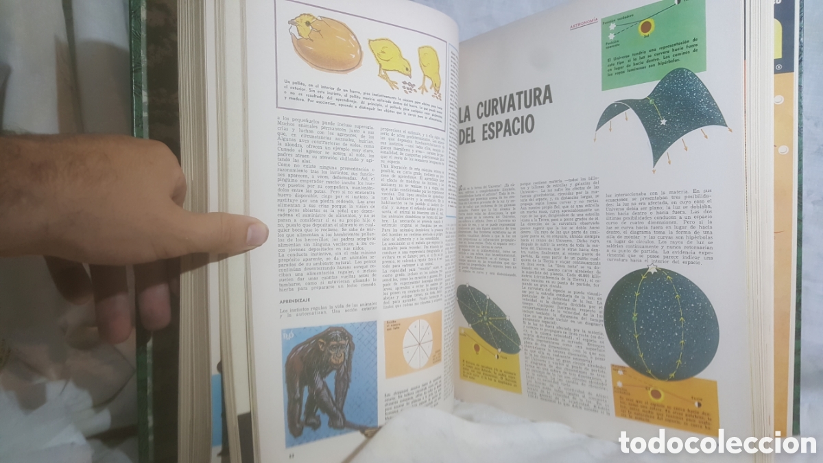 Libros de segunda mano de ciencias: TECNIRAMA. TOMO 5. N&Uacute;MEROS 105-130 - Foto 7