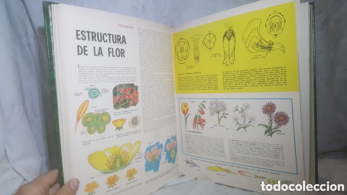 Libros de segunda mano de ciencias: TECNIRAMA. TOMO 2. N&Uacute;MEROS 27-52 - Foto 5
