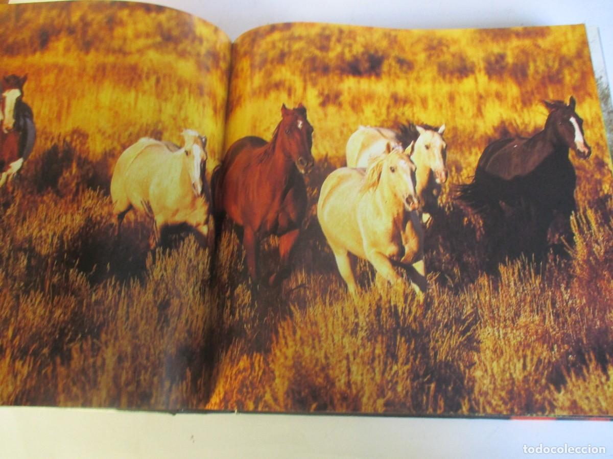 Libros de segunda mano: CABALLOS W19925 - Foto 3