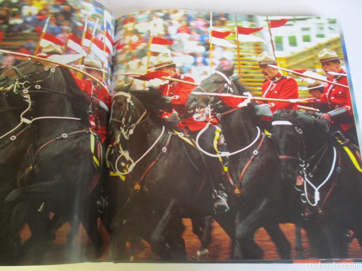 Libros de segunda mano: CABALLOS W19925 - Foto 5