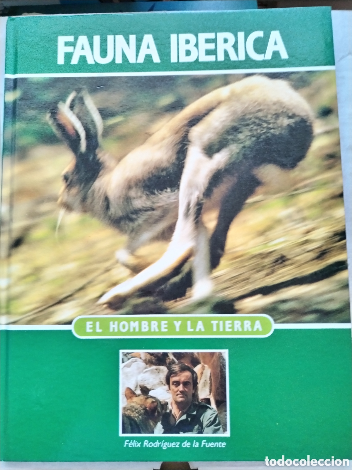 Libri di seconda mano: FAUNA IB&Eacute;RICA TOMO 7