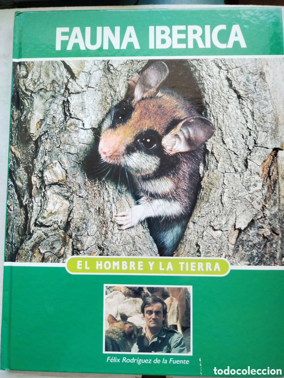 Libri di seconda mano: FAUNA IB&Eacute;RICA TOMO 2