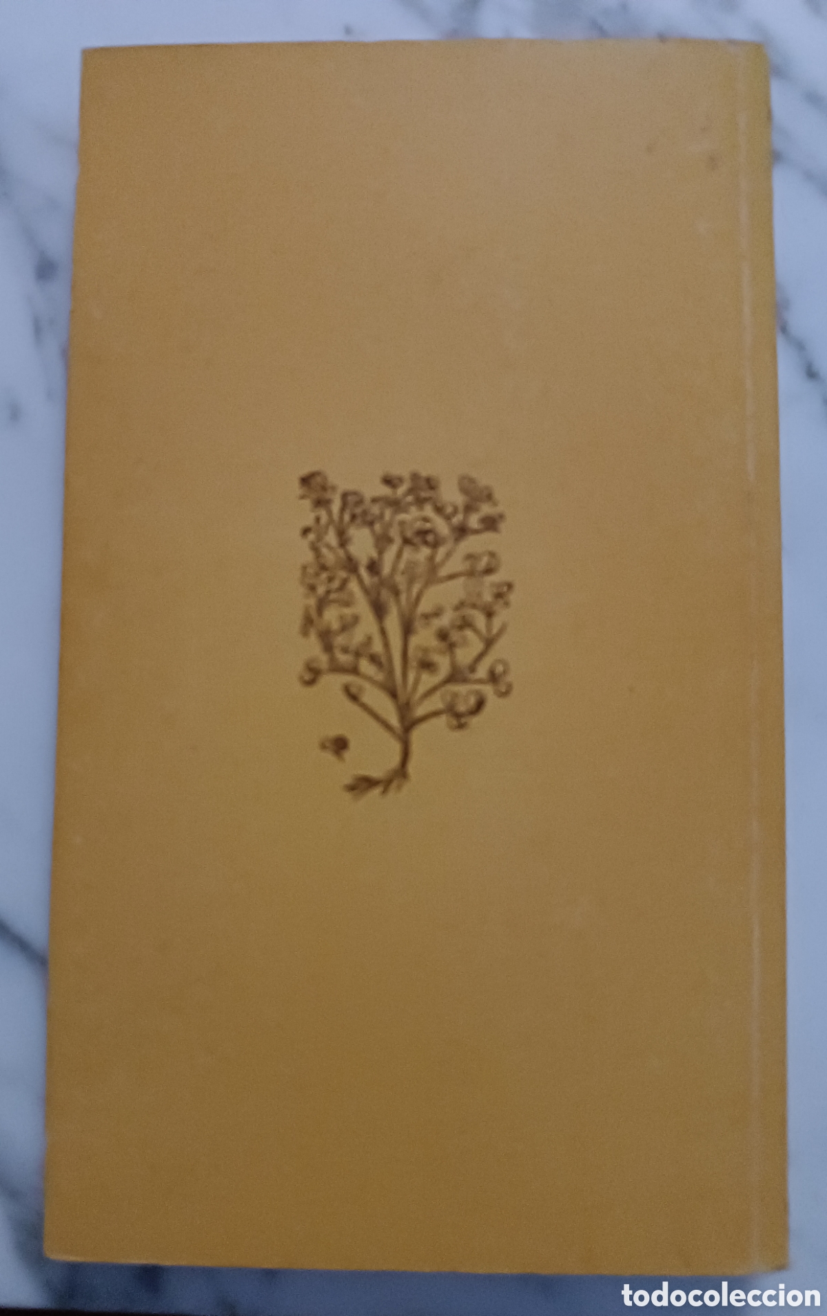 Libros de segunda mano: LLibre herbes i remeis casolans . Lluis Ripoll. Catal&agrave; - Foto 2