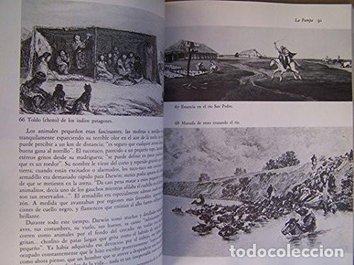 Libros de segunda mano: Darwin. La expedici&oacute;n en el Beagle (1831- 1836). Alan Moorehead. 1991 - Foto 2