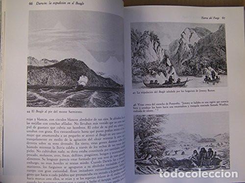 Libros de segunda mano: Darwin. La expedici&oacute;n en el Beagle (1831- 1836). Alan Moorehead. 1991 - Foto 4