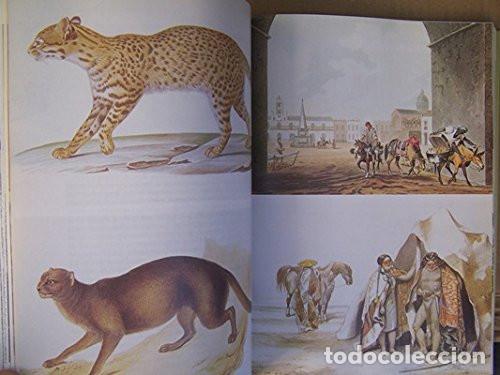 Libros de segunda mano: Darwin. La expedici&oacute;n en el Beagle (1831- 1836). Alan Moorehead. 1991 - Foto 5