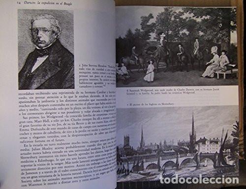 Libros de segunda mano: Darwin. La expedici&oacute;n en el Beagle (1831- 1836). Alan Moorehead. 1991 - Foto 6