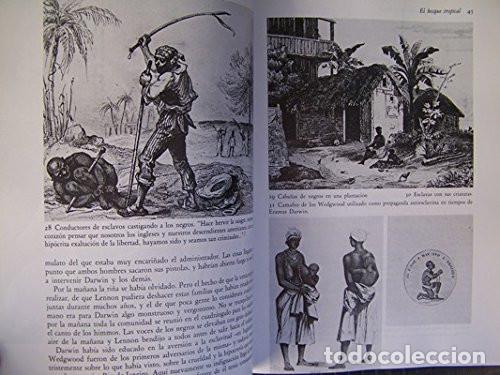 Libros de segunda mano: Darwin. La expedici&oacute;n en el Beagle (1831- 1836). Alan Moorehead. 1991 - Foto 8
