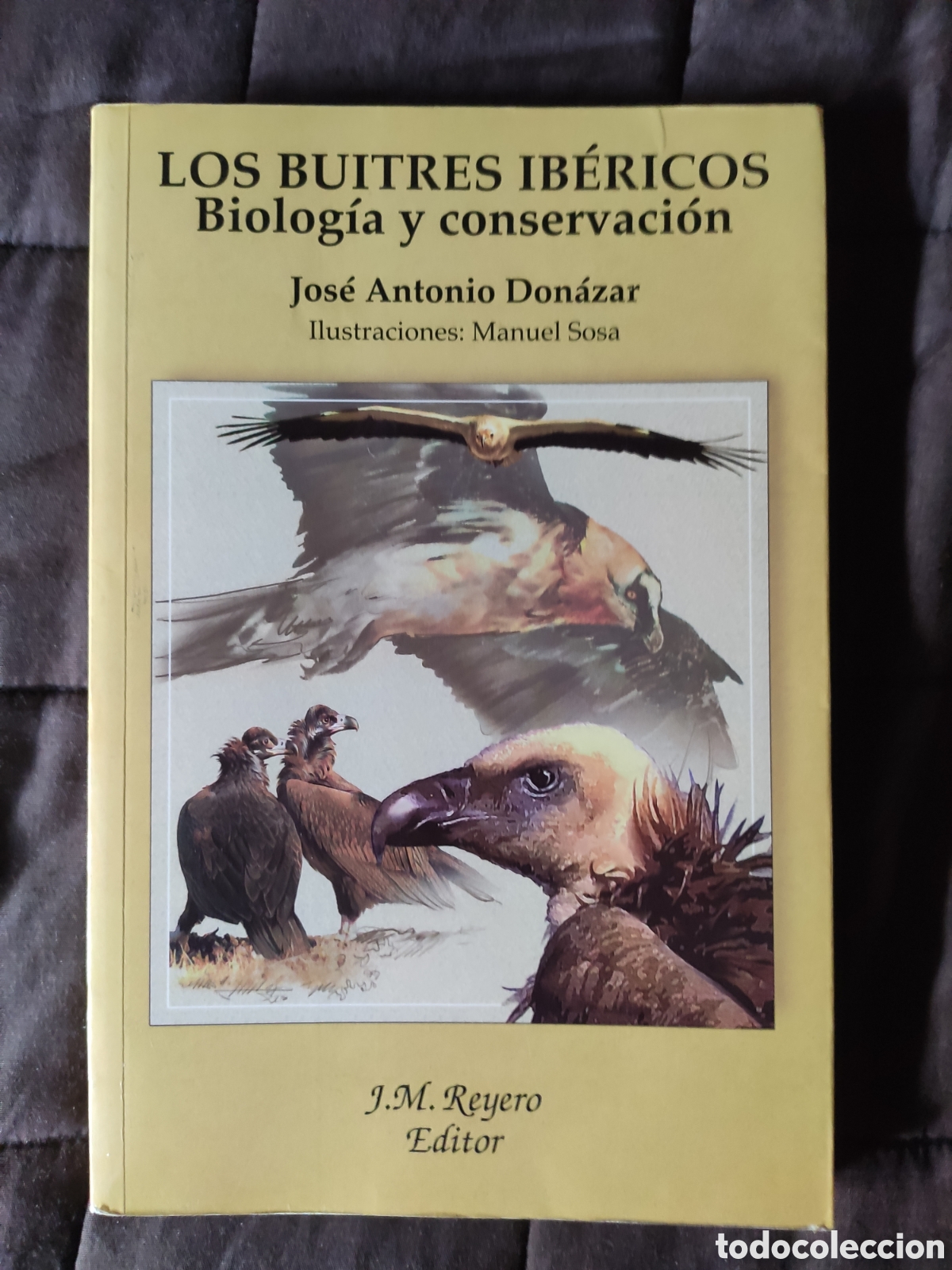 Gebrauchte B&uuml;cher: LOS BUITRES IB&Eacute;RICOS. BIOLOG&Iacute;A Y CONSERVACI&Oacute;N. Jos&eacute; Antonio Donazar